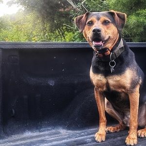 Meet your Posher, Christa